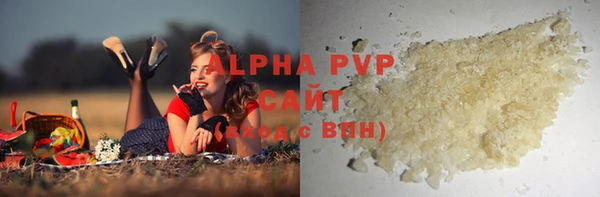 гашик Богданович